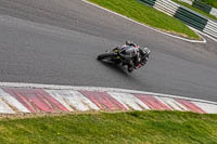 Advanced Group Black Bikes